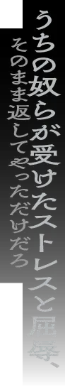 うちの奴らが受けたストレスと屈辱、そのまま返してやっただけだろ